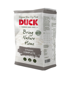 Duck Dynamic